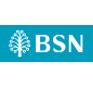 bsn-logo-18